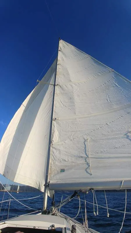 Looking up at Fulmar's white sails against a clear blue sky