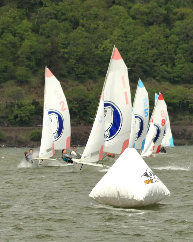 High-school sailors at the Oregon Cup Regatta, Saturday May 7, 2022 (photo 5)